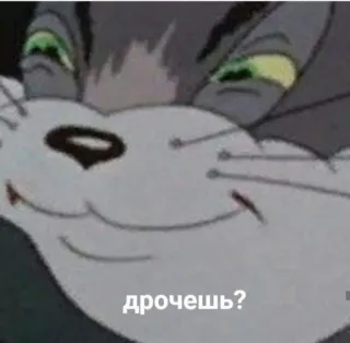 ❓ Tom Cat Tom and Jerry дрочишь? Katze, Cartoon, Grinsen, russisch telegram sticker
