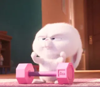 🐰 Snowball The Secret Life of Pets coelho, desenho animado, halterofilismo, fitness, exercício whatsapp sticker