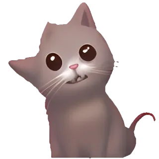 🥑 猫, 子猫, 動物, 可愛い, ペット, 飼い猫, グレー猫 telegram sticker