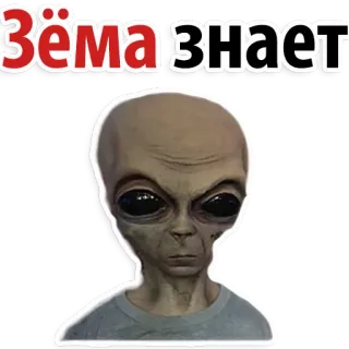 This is Zema! @stickersb2b telegram stickers