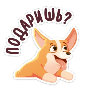 😛 ПОДАРИШЬ? cão, corgi, pergunta, fofo, animal de estimação, animal whatsapp sticker