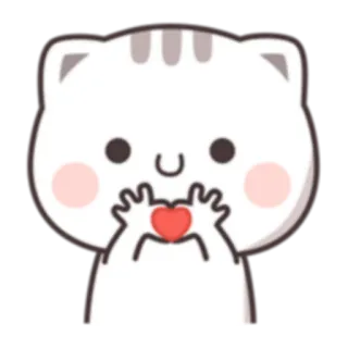💓 cat, heart, love, cute, animal, cartoon telegram sticker