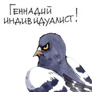 🤔 Геннадий индивидуалист! pigeon, oiseau, en colère, dessin animé, russe whatsapp sticker