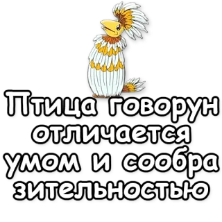 🎓 Птица говорун отличается умом и сообразительностью telegram sticker