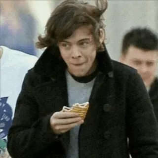 🍩 Harry Styles celebrity, singer, man, eating, sandwich, harry styles telegram sticker