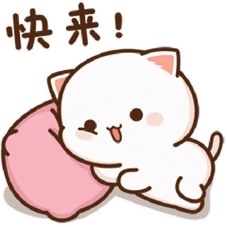 🛏 快來！ gato, lindo, kawaii, animación, saludo telegram sticker