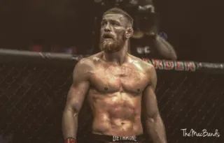 👑 Conor McGregor Конор Макгрегор, MMA, UFC, боец, спорт, единоборства, атлетичный whatsapp sticker