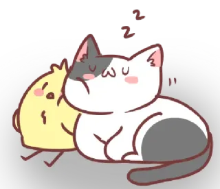 😴 kucing, anak ayam, hewan, persahabatan, imut, kartun, peluk, mengantuk whatsapp sticker