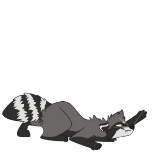 🤫 Waschbär, Tier, Cartoon, spielerisch whatsapp sticker