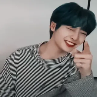 🦊 whatsapp sticker