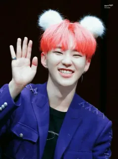💡 Hoshi Hoshi, K-pop, Seventeen, Idool, Koreaans, Zanger telegram sticker