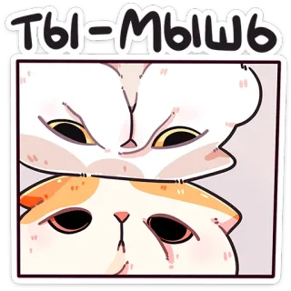 😠 ТЫ-МЫШЬ kat, muis, grappig, dieren, cartoon whatsapp sticker