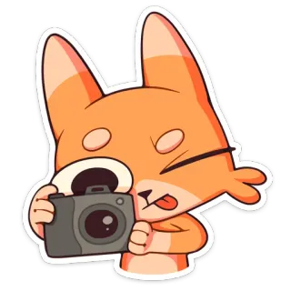 📸 animal, fox, camera, photography, cute, sticker, orange whatsapp sticker