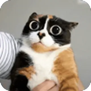 😳