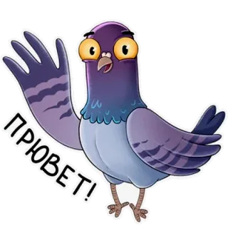 👋 ПРИВЕТ! pigeon, bird, cartoon, greeting, hello telegram sticker