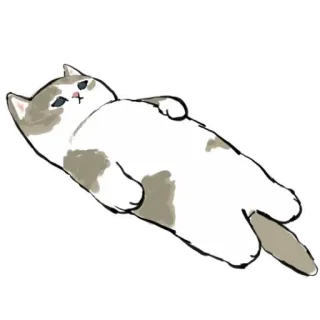 😢 Katze, Tier, süß, Aufkleber, Haustier, Haustier, Cartoon whatsapp sticker