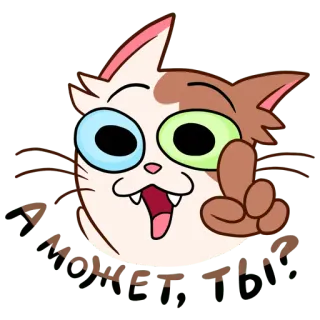 🧐 meow meow chat, mignon, dessin animé, drôle, miaou, animal whatsapp sticker