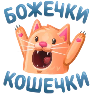 🙀 БОЖЕНЬКИ
КОШЕЧКИ gatto, carino, russo, shock, espressione whatsapp sticker