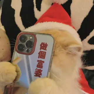 🐾 做個富婆 chat, noël, chapeau, téléphone, mignon telegram sticker