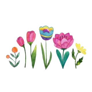 💞 цветы, цветочный, тюльпаны, акварель, сад, природа telegram sticker