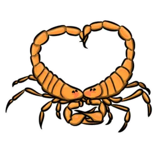 💛 escorpião, coração, amor, animal, fofo, adesivo, ilustração telegram sticker