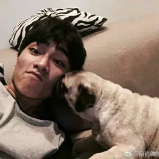 🦮 陪肖德俊 dog, pug, man, selfie, couch, pet, animal, 肖德俊 telegram sticker