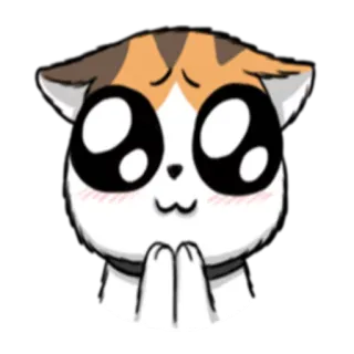 🙂 кот, милый, молящий, каваий, аниме, манга telegram sticker