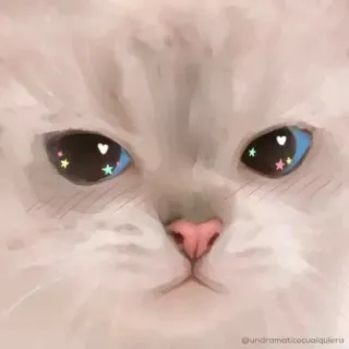 🥺 @undramaticocualquiera chat, animal, mignon, duveteux, chaton, illustration whatsapp sticker