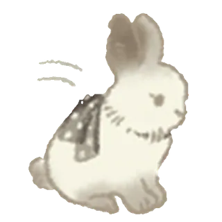 🐇
