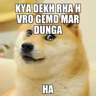 🥺 KYA DEKH RHA H
VRO GEMD MAR DUNGA
HA doge, 表情包, 搞笑, 网络迷因 telegram sticker