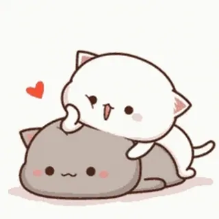 🥱 แมว, ลูกแมว, น่ารัก, คาวาอิ, รัก, หัวใจ, การ์ตูน whatsapp sticker