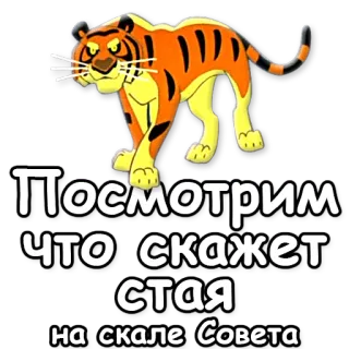 ☝ Посмотрим что скажет стая на скале Совета tigre, animal, texto, ruso, dibujos animados telegram sticker