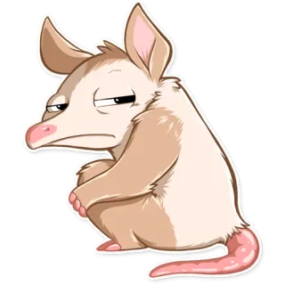 😑 opossum, dễ thương, động vật, hoạt hình, thú có túi telegram sticker