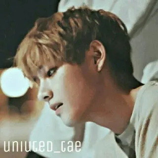💎 uniuced_tae whatsapp sticker