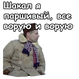 😤 Шакал я паршивый, все ворую и ворую Russian, man, winter, stealing, jacket telegram sticker