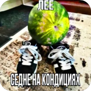 🫥 ЛЕЕ СЕДНЕ НА КОНДИЦИЯХ watermelon, sneakers, adidas, meme, funny, konditsiya, slang telegram sticker