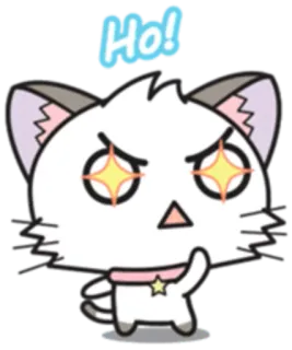 🤩 Ho! cat, animal, sticker, cartoon, cute, angry whatsapp sticker