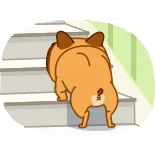 Harry The Frenchie telegram stickers