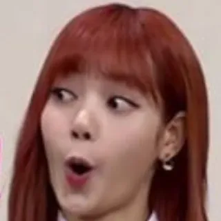 😲 Lisa kpop, lisa, blackpink, uitdrukking, grappig, reactie whatsapp sticker