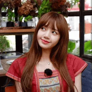 🤪 Lisa person, woman, singer, celebrity, kpop, beautiful, lisa manoban telegram sticker