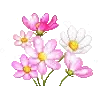 💐