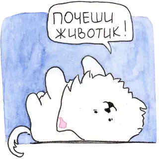 🙃 ПОЧЕШИ ЖИВОТИК! Hund, süß, Tier, Haustier, Bauchkraulen, Cartoon telegram sticker