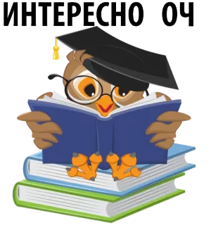 😆 ИНТЕРЕСНО ОЧ coruja, livro, formatura, leitura, educação, interessante whatsapp sticker