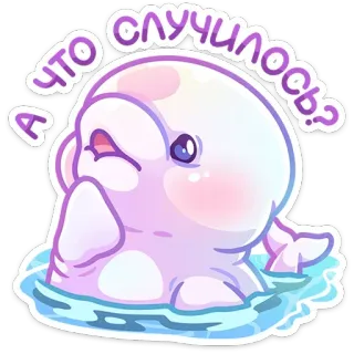 🤔 А что случилось? delfino, carino, creatura marina, animale, cartone animato, kawaii, domanda, russo whatsapp sticker
