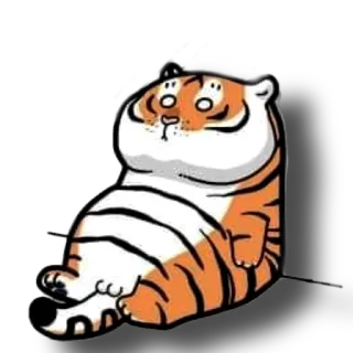 🤕 tigre, animale, cartone animato, carino, adesivo, divertente, cicciottello telegram sticker