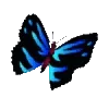 🦋