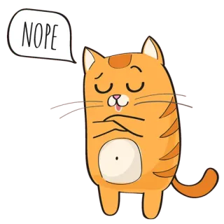 🐱 NOPE chat, non, non, drôle, mignon, animal whatsapp sticker