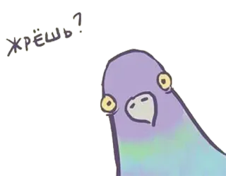 🐦 ХРЕШЬ? Taube, Vogel, Frage, Tier, Meme, Cartoon telegram sticker