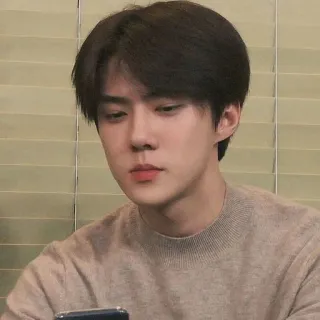🐣 mann, asiatisch, porträt, koreanisch, person, drinnen telegram sticker