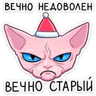 😠 ВЕЧНО НЕДОВОЛЕН
ВЕЧНО СТАРЫЙ Katze, wütend, mürrisch, Weihnachten, Weihnachtsmütze, Sphynx Katze whatsapp sticker